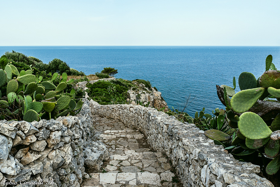 Meraviglie del Salento.