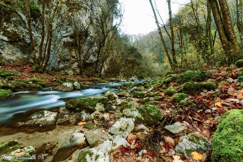 Subiaco, riserva naturale